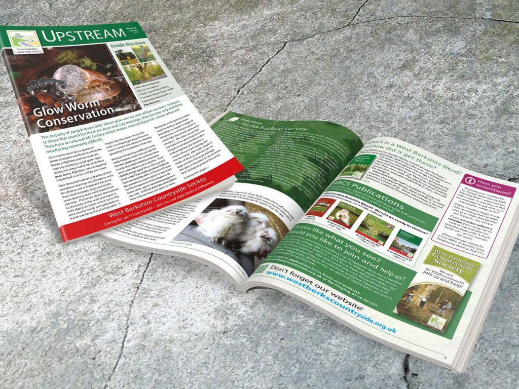 Magazine Design and Newsletter Design